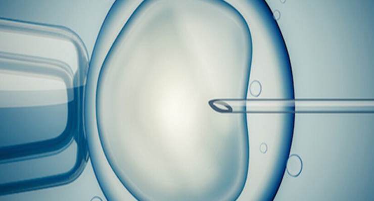 IVF PROTOCOLS