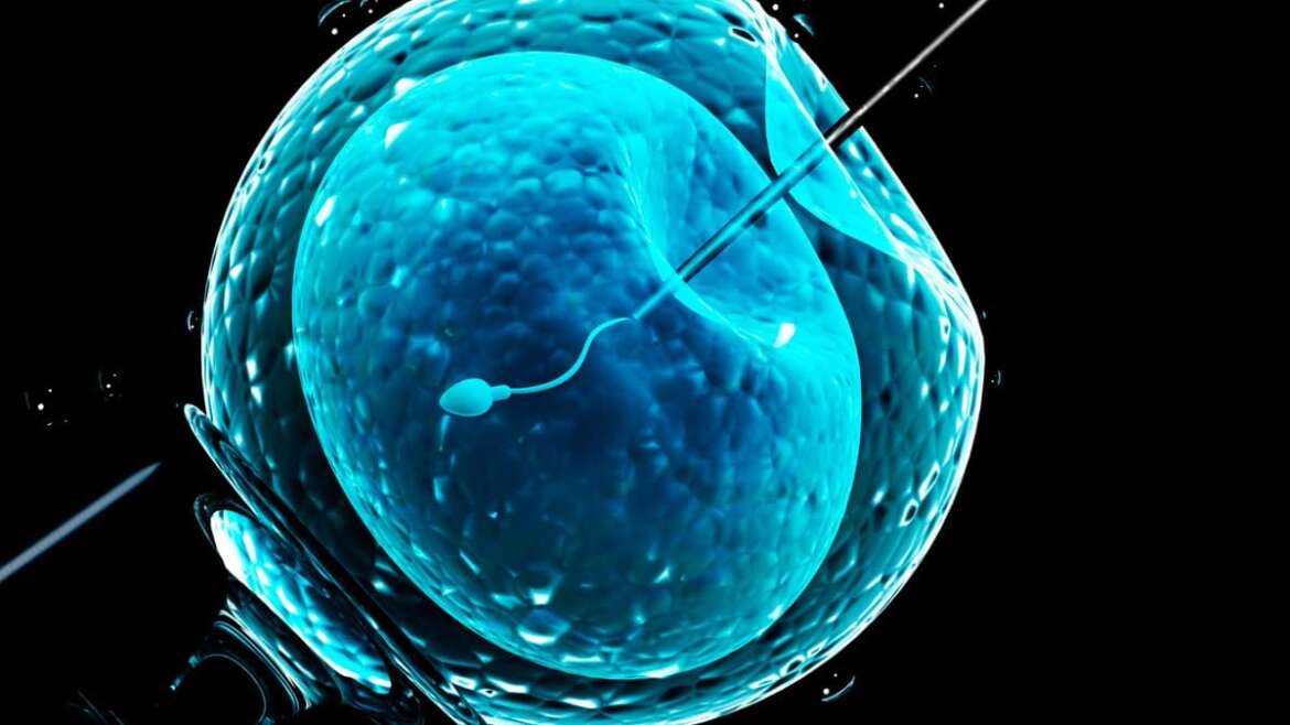 Embryology Programs – Clinical Embryology 2023