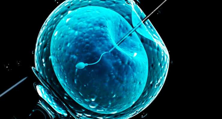 Embryology Programs – Clinical Embryology 2023